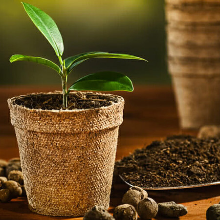 Coco Pot Manufacturers