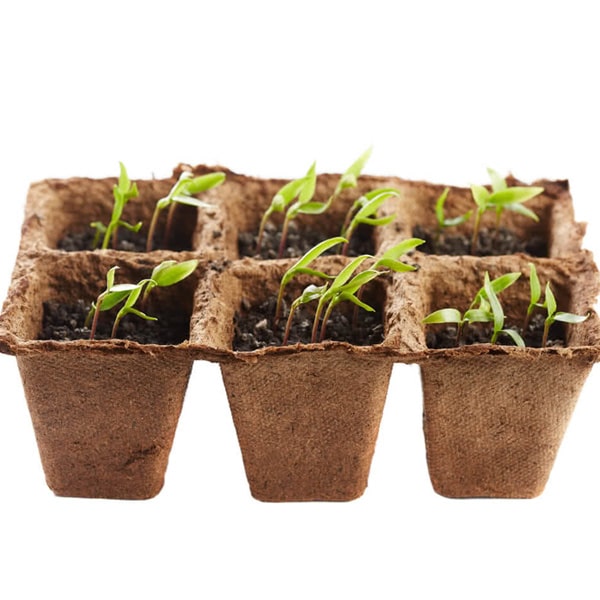 Coco Pots Manufacturers