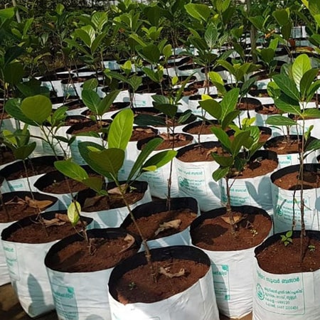 Grow Bags Manufacturers