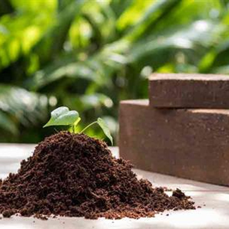Coco Peat Manufacturers
